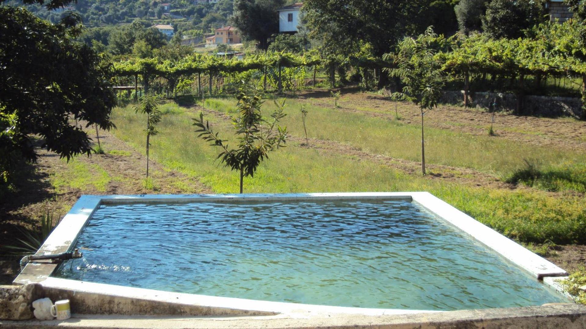 Rodrigues Holiday home Arcos de Valdevez